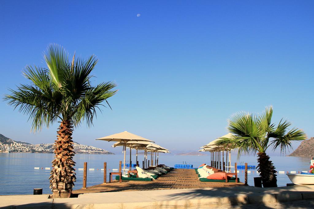 Elite Hotel Bodrum Yalıkavak Zewnętrze zdjęcie